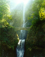 Multnomah Falls, near Mount Hood in Oregon. The streaks of sunlight, the damp moss, the teeny people on the bridge overwhelmed me. 